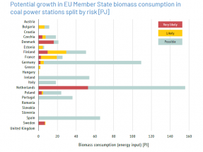 La posible, pero improbable, conversión de 67 centrales de carbón en biomasa en Europa