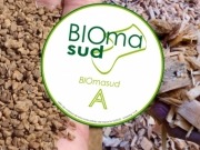 Huesos de aceituna y astillas obtienen sellos de calidad como biocombustibles