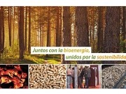 SI Bioenergía facilita el acceso a las ayudas de Proyectos Clima y PIMA empresa