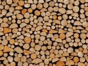 Colea la subasta de biomasa: cara para Renova, cruz para Gestamp y Elcogás