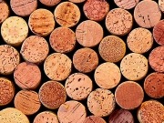 Residuos de corcho para tratar aguas y producir electricidad