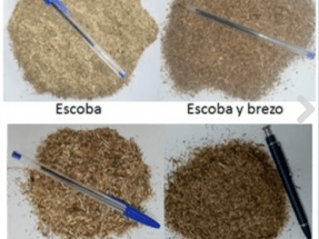 Matorrales, bosques y agricultura para un suministro sostenible de bioenergía