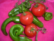 Investigan el aprovechamiento de residuos de tomates en pilas de combustible