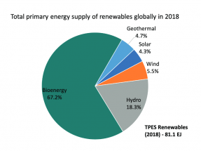 Cierra el año con el vademécum de la bioenergía: Global Bioenergy Statistics 2020