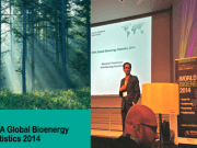 El calor domina la bioenergía mundial