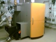 Austria abandera la biomasa en Genera