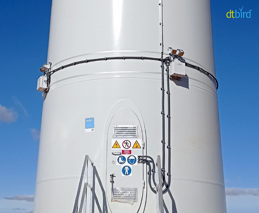 DTBird cámaras en la torre