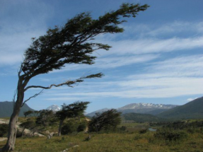 Forestalia cuenta ya con la autorización administrativa para 200 MW en Aragón