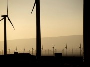 Egypt poised to launch tender offer for wind farms