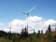 Wind industry reaches take-off speed