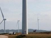 Vestas seeks to cool rumours it secured a 300 MW order