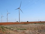 US study finds grassland birds displaced by wind turbines