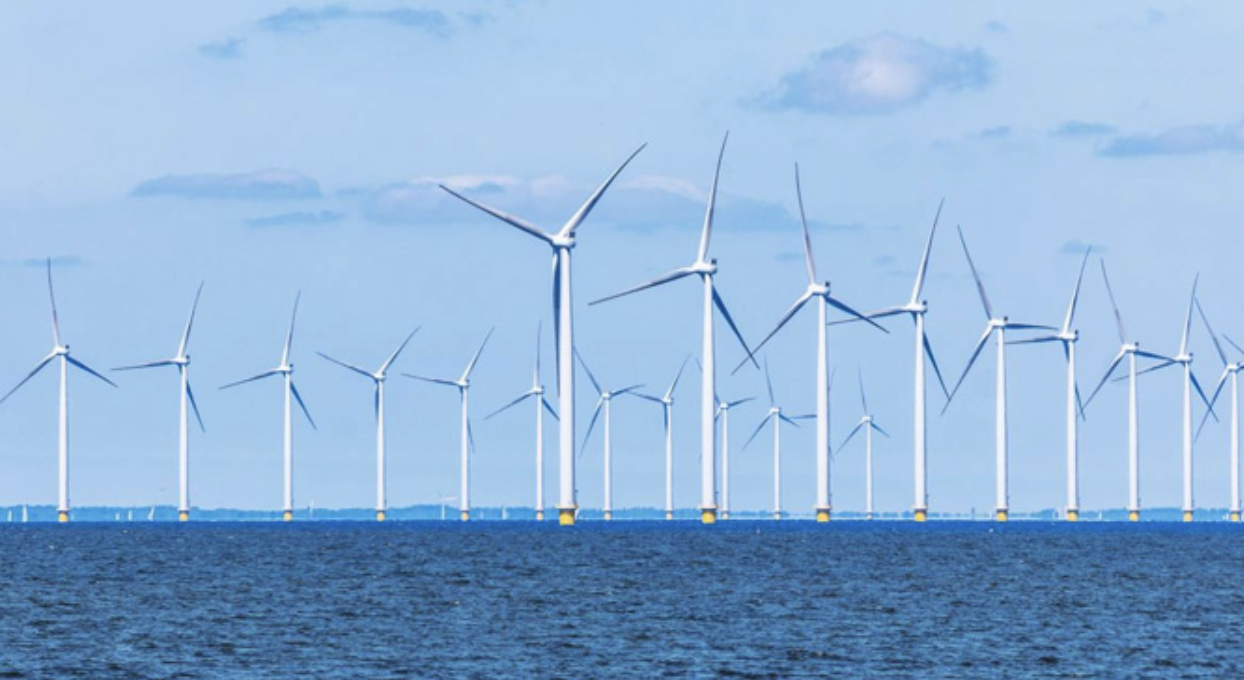 Ocean Winds y la Universidad de Melbourne se unen para desarrollar la eólica marina australiana