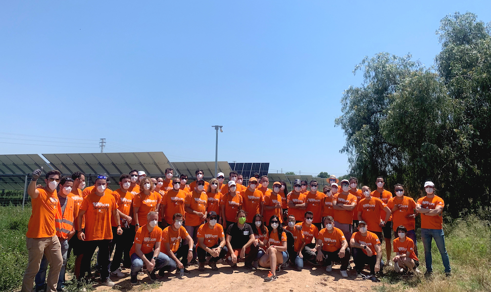 Soltec reforesta la planta solar de La Asomada, en Cartagena, con árboles autóctonos