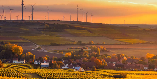 Teruel: el territorio donde el modelo Forestalia enfrenta su mayor contestación