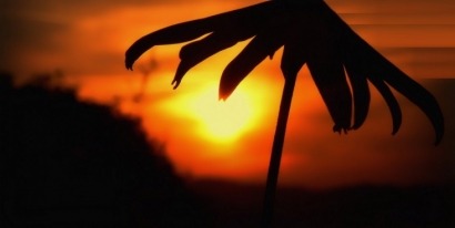 El autoconsumo supondrá un sobrecoste de 36 céntimos de euro para los no autoconsumidores