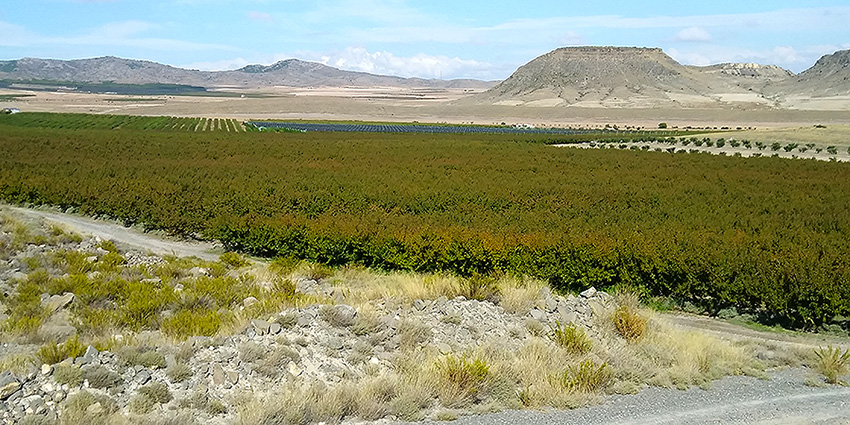 Solener. Bombeo solar en Ricla (Zaragoza)