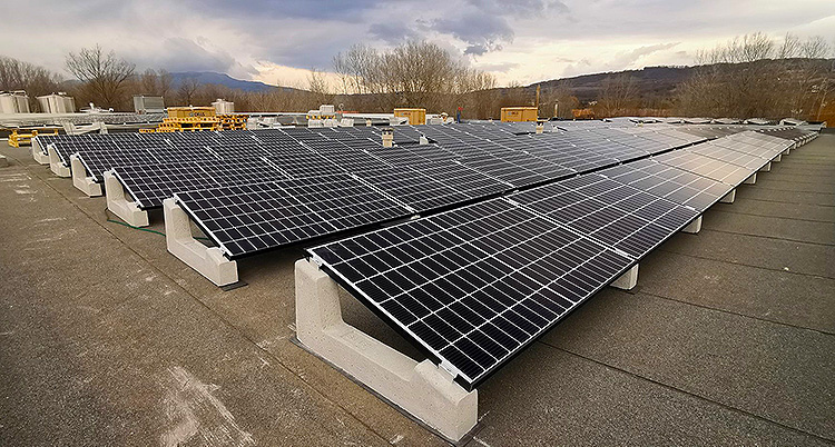 Sun Ballast Standard Sun Ballast Standard