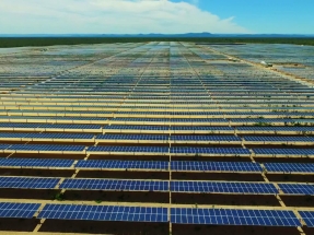 Inicia operaciones el parque solar Lapa, de 158 MW, el mayor del país