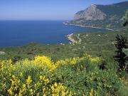 New solar plant in Crimea part of national clean energy strategy