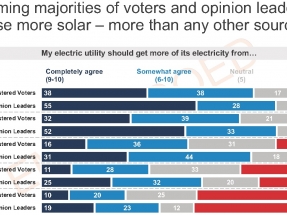 Más del 75 % de los votantes quieren que las empresas eléctricas y el Gobierno fomenten la fotovoltaica