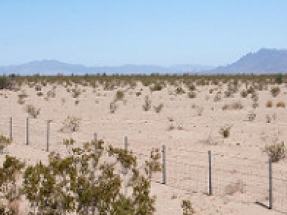 California: Autorizan tierras públicas para Palen, un proyecto fotovoltaico de 500 MW