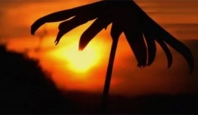 El autoconsumo supondrá un sobrecoste de 36 céntimos de euro para los no autoconsumidores