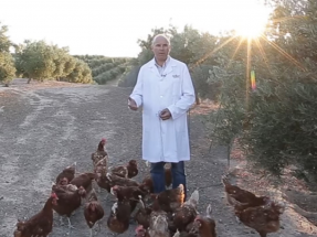 TSO firma el primer PPA para producir huevos ecológicos con energía solar