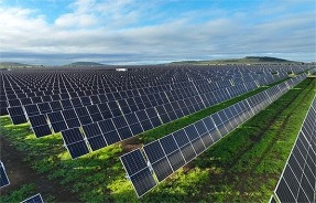 Risen Energy incrementa su facturación más de un 56%