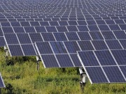 Trade association says solar power and farming go hand in hand