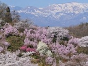 Post-nuclear Fukushima going geothermal