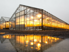 La geotérmica puede ayudar (y mucho) a mejorar la seguridad alimentaria