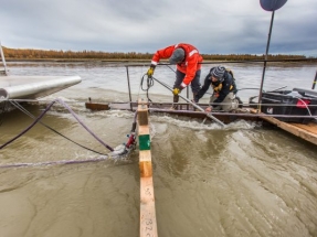 Alaska: La universidad más importante del estado se alía con un laboratorio nacional para investigar las energías marinas