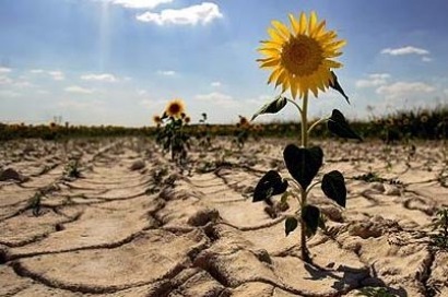 España ha incrementado sus emisiones de CO2 casi un 20% en los últimos veinte años