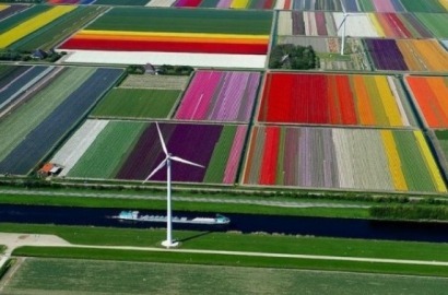 El 16% de la energía final que consumió la UE en 2014 salió de fuentes renovables