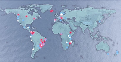 101 ciudades grandes del mundo son ya casi 100% renovables