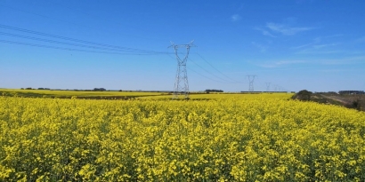 BID Invest financia la primera línea de transmisión verde para fortalecer el sector de energía