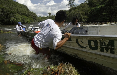 WWF España busca un profesional para desempeñar el cargo de técnico en transición energética