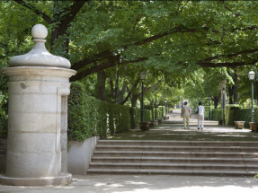 El Bosque Urbano de Madrid evita la emisión de medio millón de toneladas de carbono al año