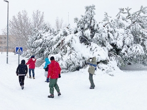 Las renovables generan más del doble de electricidad que la nuclear en plena ola de frío Las renovables generan más del doble de electricidad que la nuclear en plena ola de frío