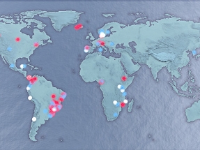 101 ciudades grandes del mundo son ya casi 100% renovables