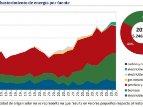 La biomasa supera por primera vez al petróleo y sus derivados en la matriz energética