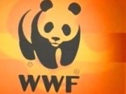 WWF celebra la aprobación de la "imprescindible" ley de cambio climático y transición energética