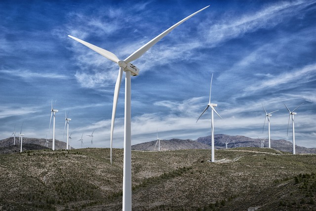 New Study of Bat Habitats and Wind Energy Can Help Minimize Collisions