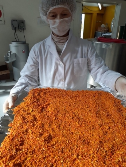 Energía solar, hortalizas deshidratadas, nuevos alimentos, fines sociales: una unión virtuosa