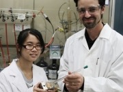 Crean una esponja solar que absorbe CO2