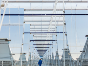 La energía solar termoeléctrica sigue avanzando en el mundo del petróleo 