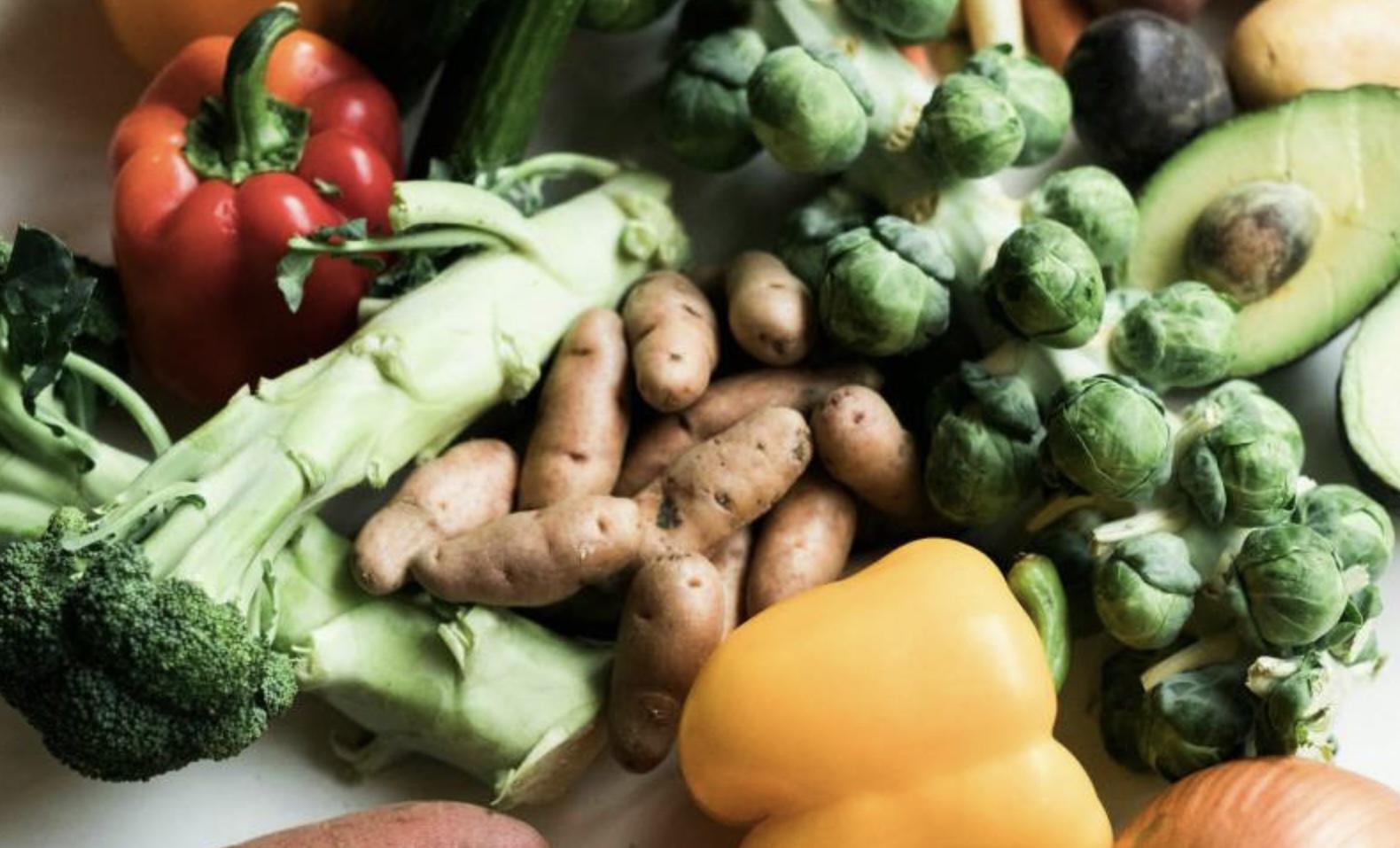 La agrovoltaica española profundiza en las ventajas de combinar cultivos y paneles solares  