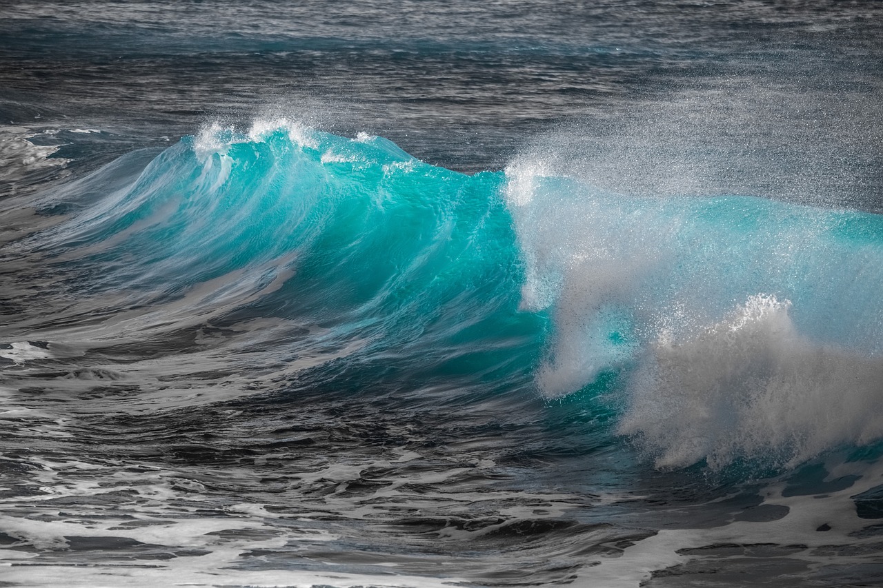 Tidal Energy Networking Event Invites Businesses Across North Wales